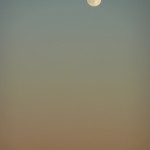 8 Moon