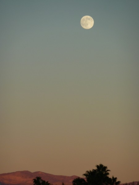8 Moon