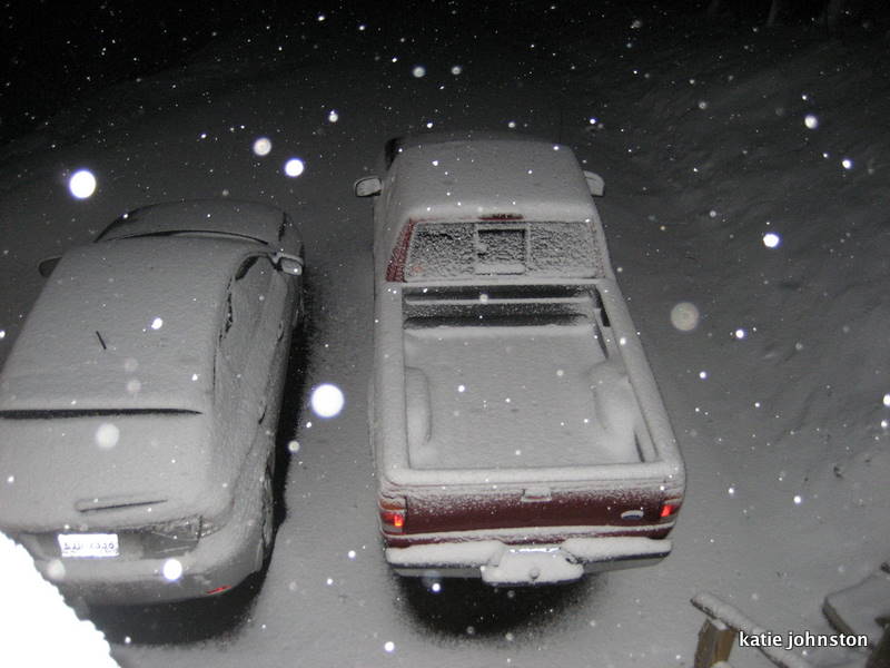 Snowy Cars